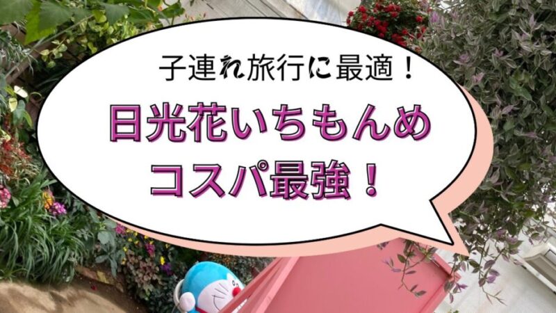 日光花いちもんめレビュー！コスパ最強の子連れ旅 